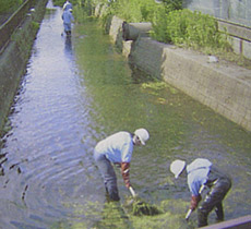 gesui_img01.jpg
