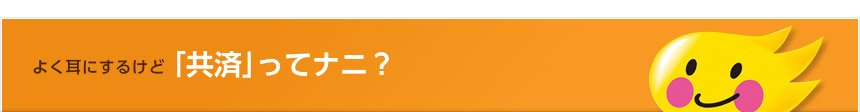 よく耳にするけど「共済」ってナニ？
